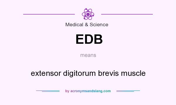What does EDB mean? It stands for extensor digitorum brevis muscle