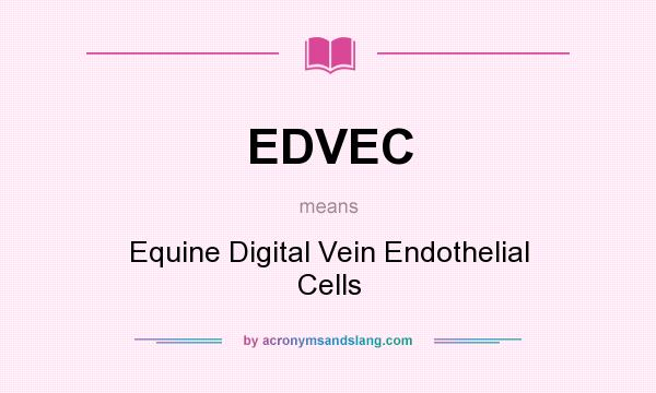 What does EDVEC mean? It stands for Equine Digital Vein Endothelial Cells