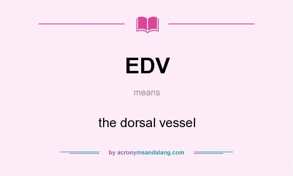 What does EDV mean? It stands for the dorsal vessel