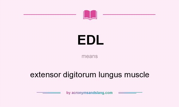 What does EDL mean? It stands for extensor digitorum lungus muscle