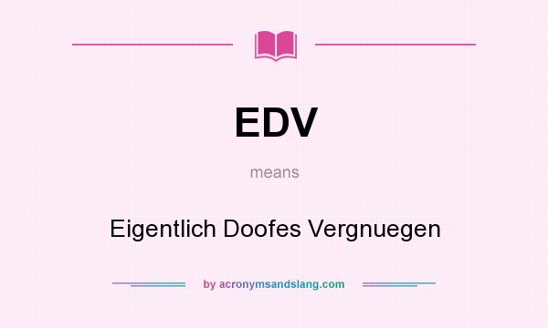 What does EDV mean? It stands for Eigentlich Doofes Vergnuegen
