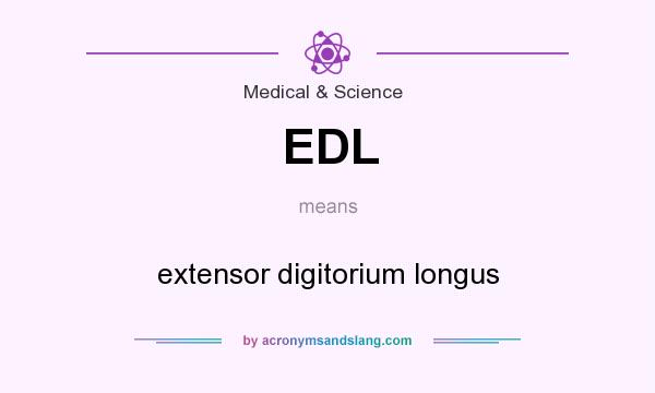 What does EDL mean? It stands for extensor digitorium longus