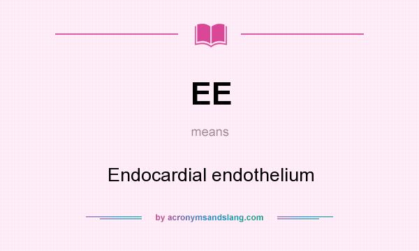 What does EE mean? It stands for Endocardial endothelium