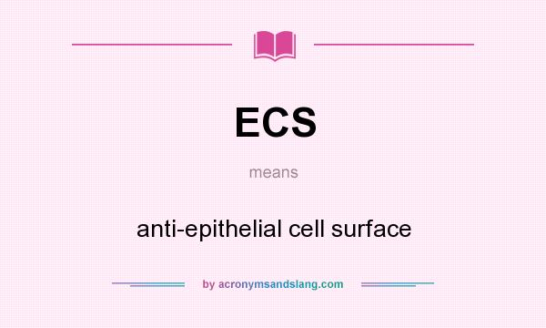 What does ECS mean? It stands for anti-epithelial cell surface
