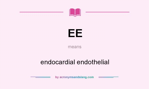What does EE mean? It stands for endocardial endothelial