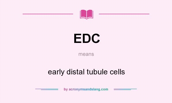 What does EDC mean? It stands for early distal tubule cells