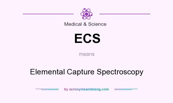 What does ECS mean? It stands for Elemental Capture Spectroscopy