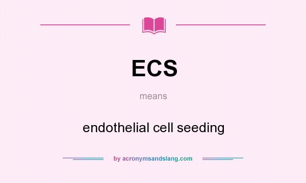 What does ECS mean? It stands for endothelial cell seeding