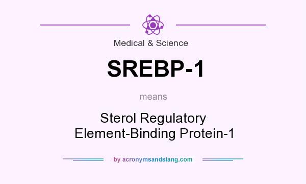 What does SREBP-1 mean? It stands for Sterol Regulatory Element-Binding Protein-1