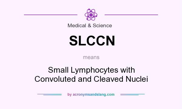 What does SLCCN mean? It stands for Small Lymphocytes with Convoluted and Cleaved Nuclei