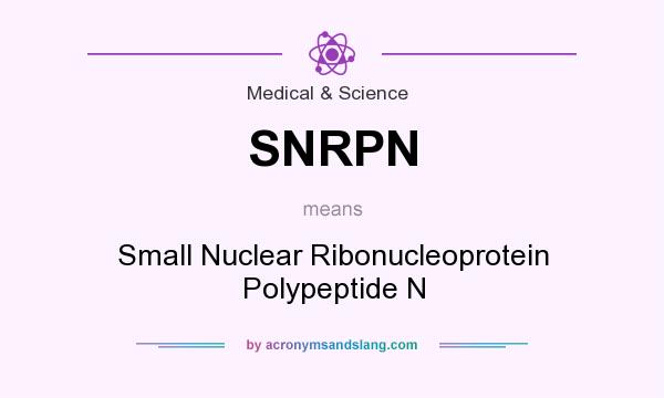 What does SNRPN mean? It stands for Small Nuclear Ribonucleoprotein Polypeptide N