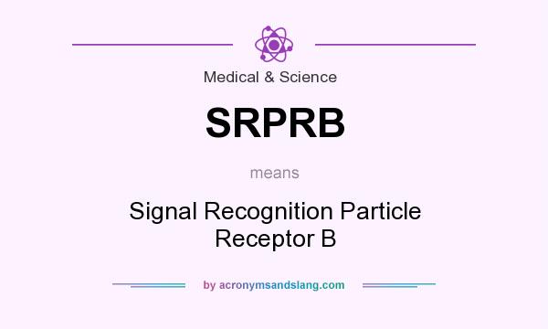 What does SRPRB mean? It stands for Signal Recognition Particle Receptor B