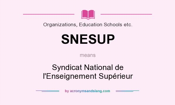 What does SNESUP mean? It stands for Syndicat National de l`Enseignement Supérieur
