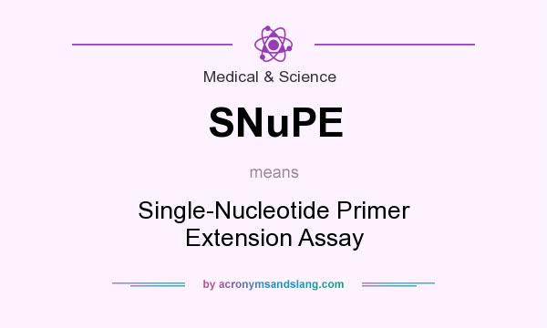 What does SNuPE mean? It stands for Single-Nucleotide Primer Extension Assay