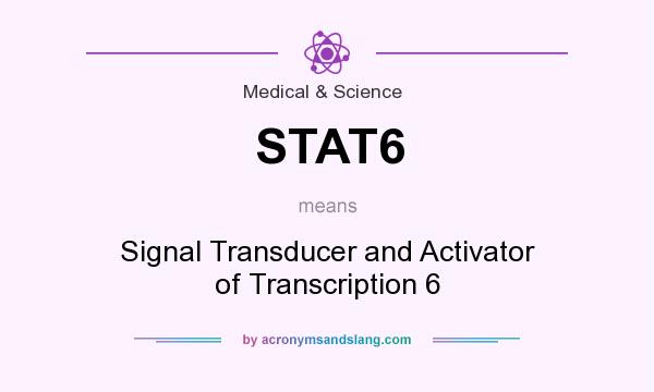 What does STAT6 mean? It stands for Signal Transducer and Activator of Transcription 6