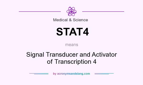 What does STAT4 mean? It stands for Signal Transducer and Activator of Transcription 4