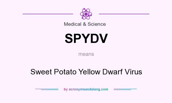 What does SPYDV mean? It stands for Sweet Potato Yellow Dwarf Virus