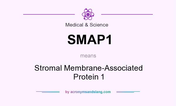 What does SMAP1 mean? It stands for Stromal Membrane-Associated Protein 1