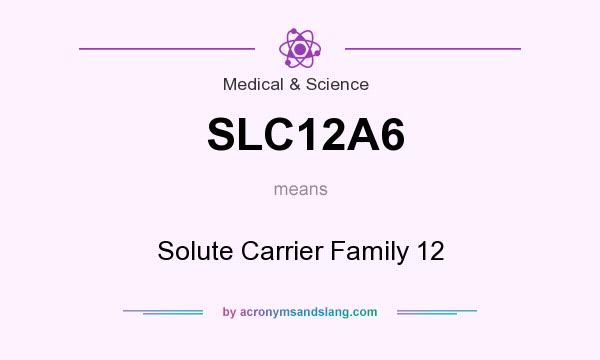 What does SLC12A6 mean? It stands for Solute Carrier Family 12