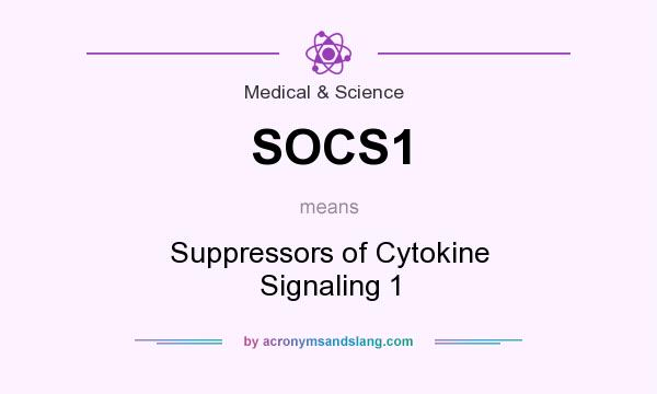 What does SOCS1 mean? It stands for Suppressors of Cytokine Signaling 1
