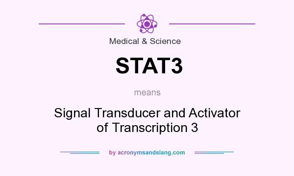 What does STAT3 mean? It stands for Signal Transducer and Activator of Transcription 3