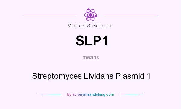 What does SLP1 mean? It stands for Streptomyces Lividans Plasmid 1