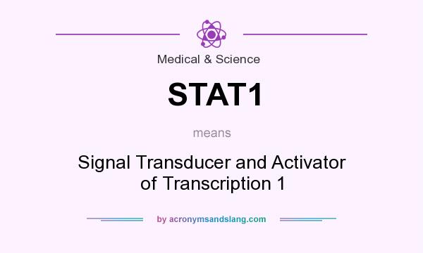 What does STAT1 mean? It stands for Signal Transducer and Activator of Transcription 1