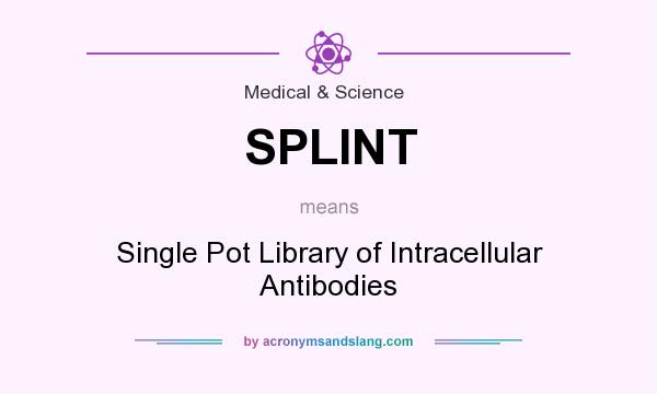 What does SPLINT mean? It stands for Single Pot Library of Intracellular Antibodies