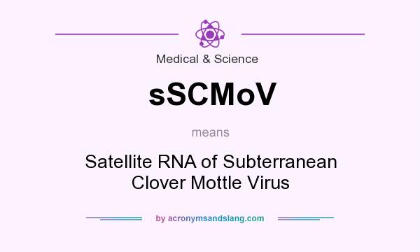 What does sSCMoV mean? It stands for Satellite RNA of Subterranean Clover Mottle Virus
