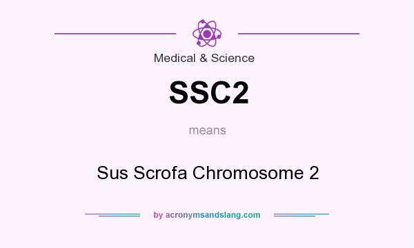 What does SSC2 mean? It stands for Sus Scrofa Chromosome 2