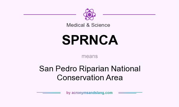 What does SPRNCA mean? It stands for San Pedro Riparian National Conservation Area