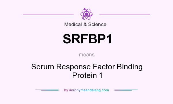 What does SRFBP1 mean? It stands for Serum Response Factor Binding Protein 1