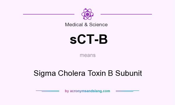 What does sCT-B mean? It stands for Sigma Cholera Toxin B Subunit