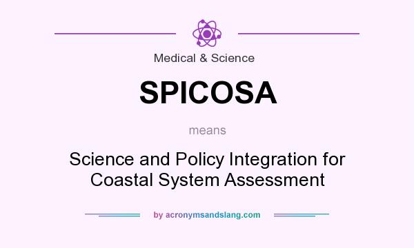 What does SPICOSA mean? It stands for Science and Policy Integration for Coastal System Assessment