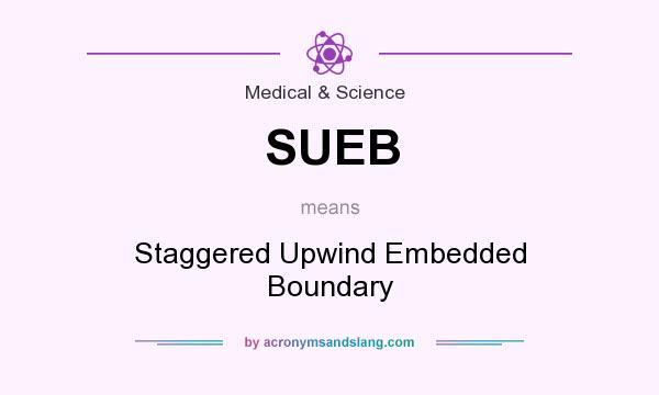 What does SUEB mean? It stands for Staggered Upwind Embedded Boundary