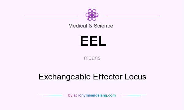 What does EEL mean? It stands for Exchangeable Effector Locus