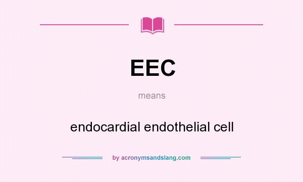 What does EEC mean? It stands for endocardial endothelial cell