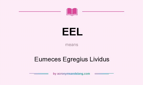 What does EEL mean? It stands for Eumeces Egregius Lividus
