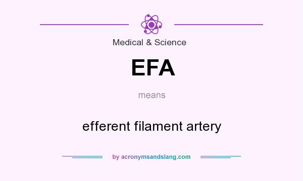 What does EFA mean? It stands for efferent filament artery