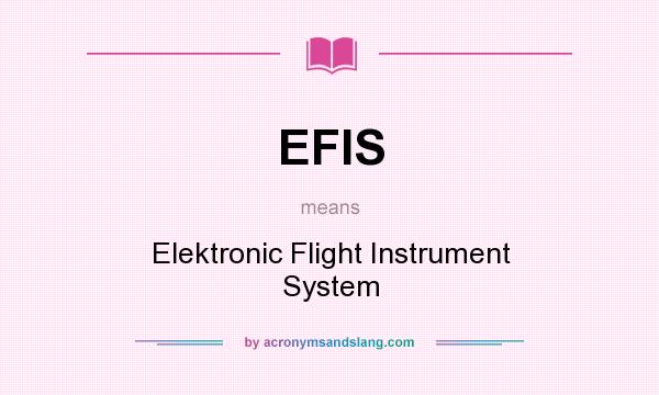 What does EFIS mean? It stands for Elektronic Flight Instrument System