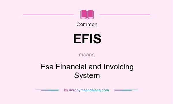 What does EFIS mean? It stands for Esa Financial and Invoicing System