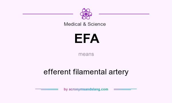 What does EFA mean? It stands for efferent filamental artery