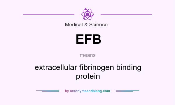 What does EFB mean? It stands for extracellular fibrinogen binding protein
