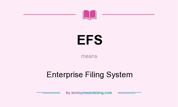 What does EFS mean? It stands for Enterprise Filing System