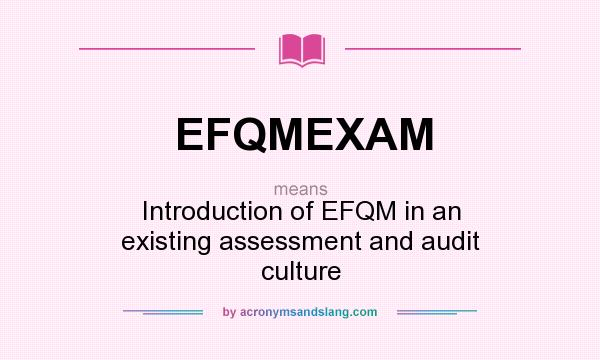 What does EFQMEXAM mean? It stands for Introduction of EFQM in an existing assessment and audit culture