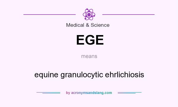 What does EGE mean? It stands for equine granulocytic ehrlichiosis