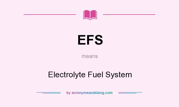 What does EFS mean? It stands for Electrolyte Fuel System