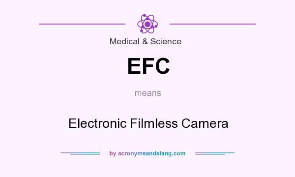 What does EFC mean? It stands for Electronic Filmless Camera