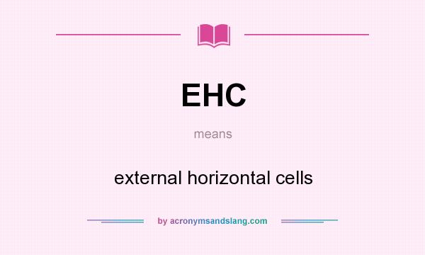 What does EHC mean? It stands for external horizontal cells