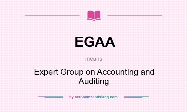 What does EGAA mean? It stands for Expert Group on Accounting and Auditing
